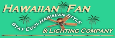 Hawaiian Fan and Lighting